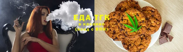 сатива Инсар