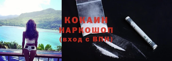сатива Инсар
