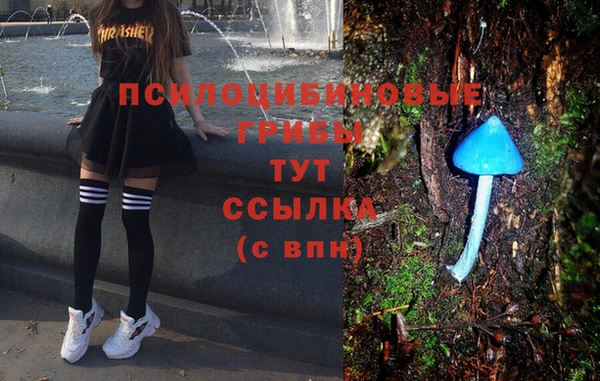 таблы Заволжск