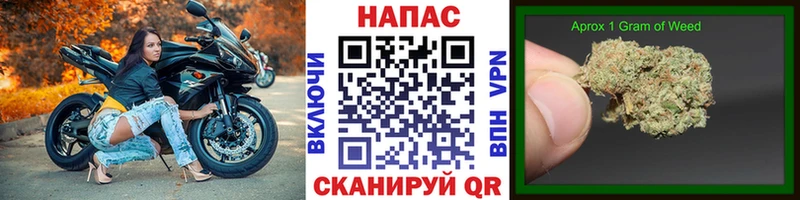Купить  Выборг  Конопля ГИДРОПОН 